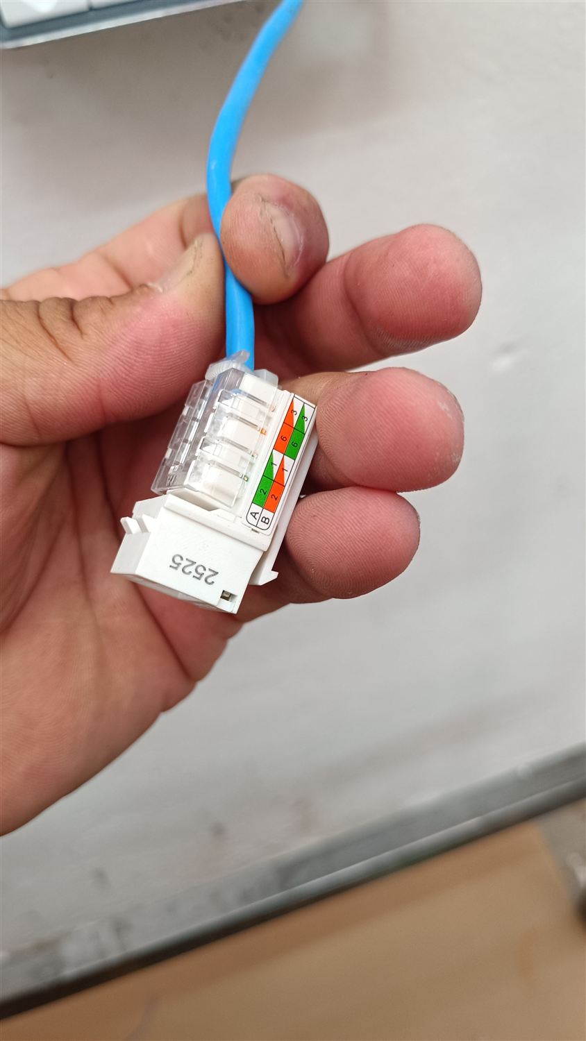 Cabeamento e rede de dados estruturada